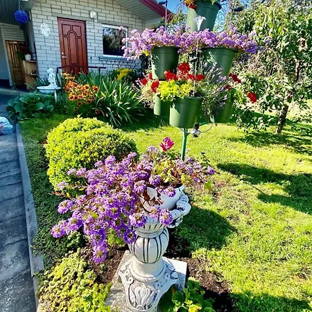 Alyvu - House Just For Vila *