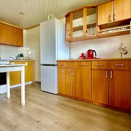 Vila Alyvu - House Just For *