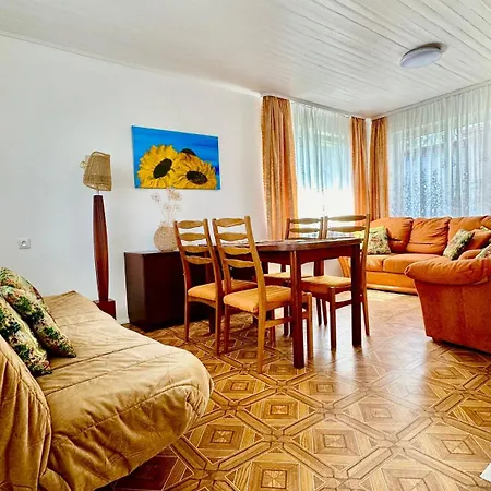 Vila Alyvu - House Just For *