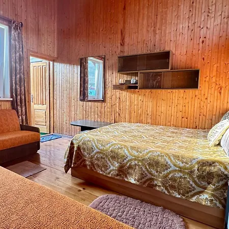 Vila Alyvu - House Just For *
