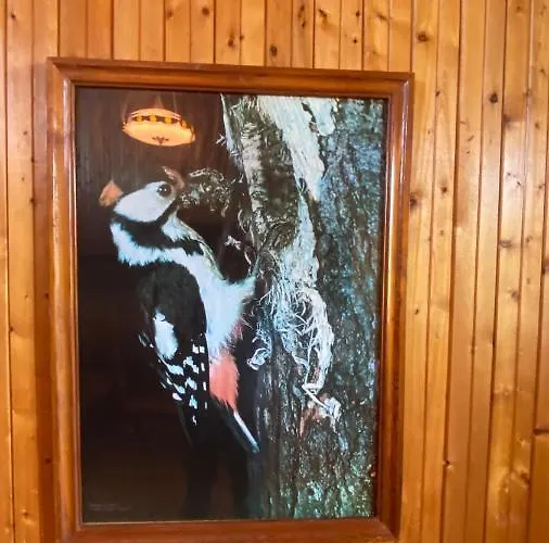 Alyvu - House Just For וילה *