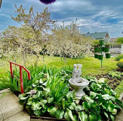 Alyvu - House Just For