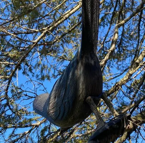 Alyvu - House Just For וילה *