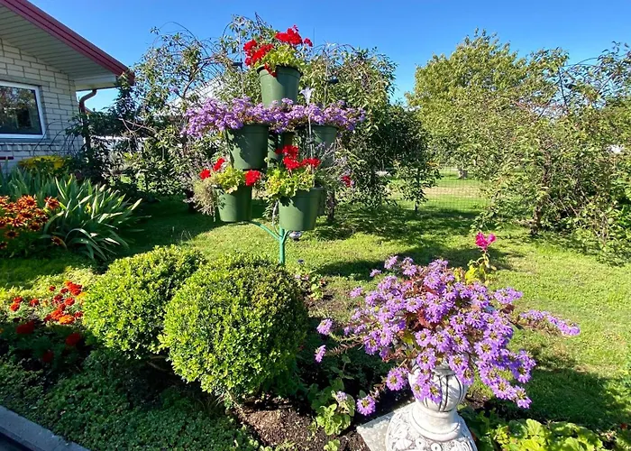 Alyvu - House Just For וילה *