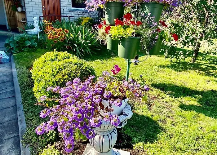 Alyvu - House Just For וילה *