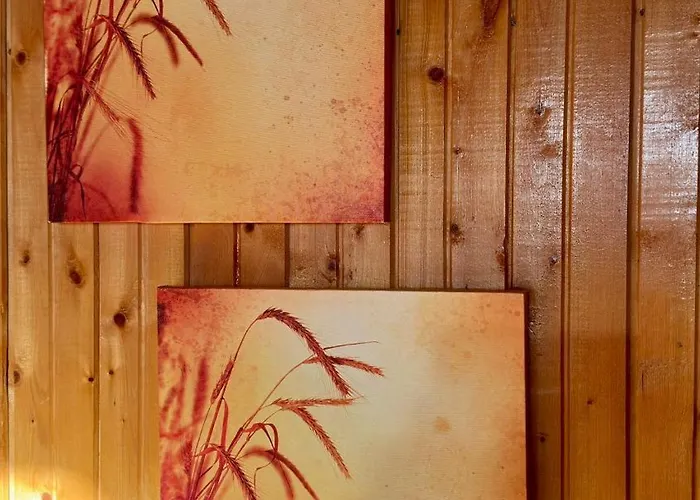 Alyvu - House Just For *