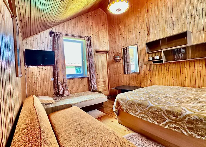 Alyvu - House Just For *