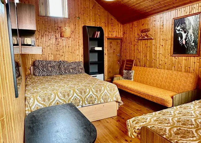 Alyvu - House Just For *